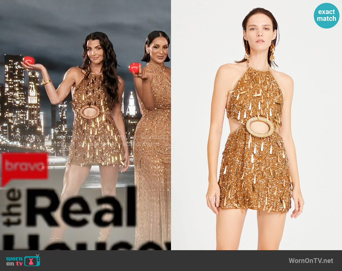 Erika's Raisa Vanessa dress