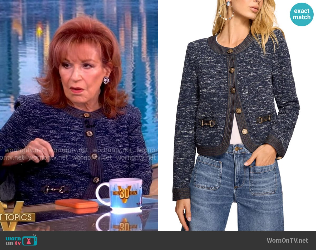 Joy's Ramy Brook jacket