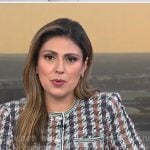 Rana Novini's houndstooth jacket on NBC News Daily Rana Novini's houndstooth jacket on NBC News Daily