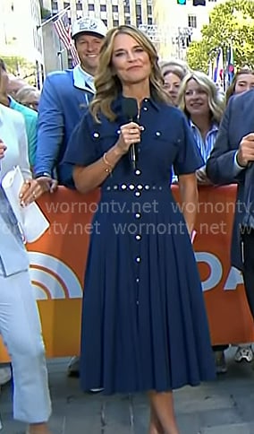 Savannah's blue button front pleated dress on Today