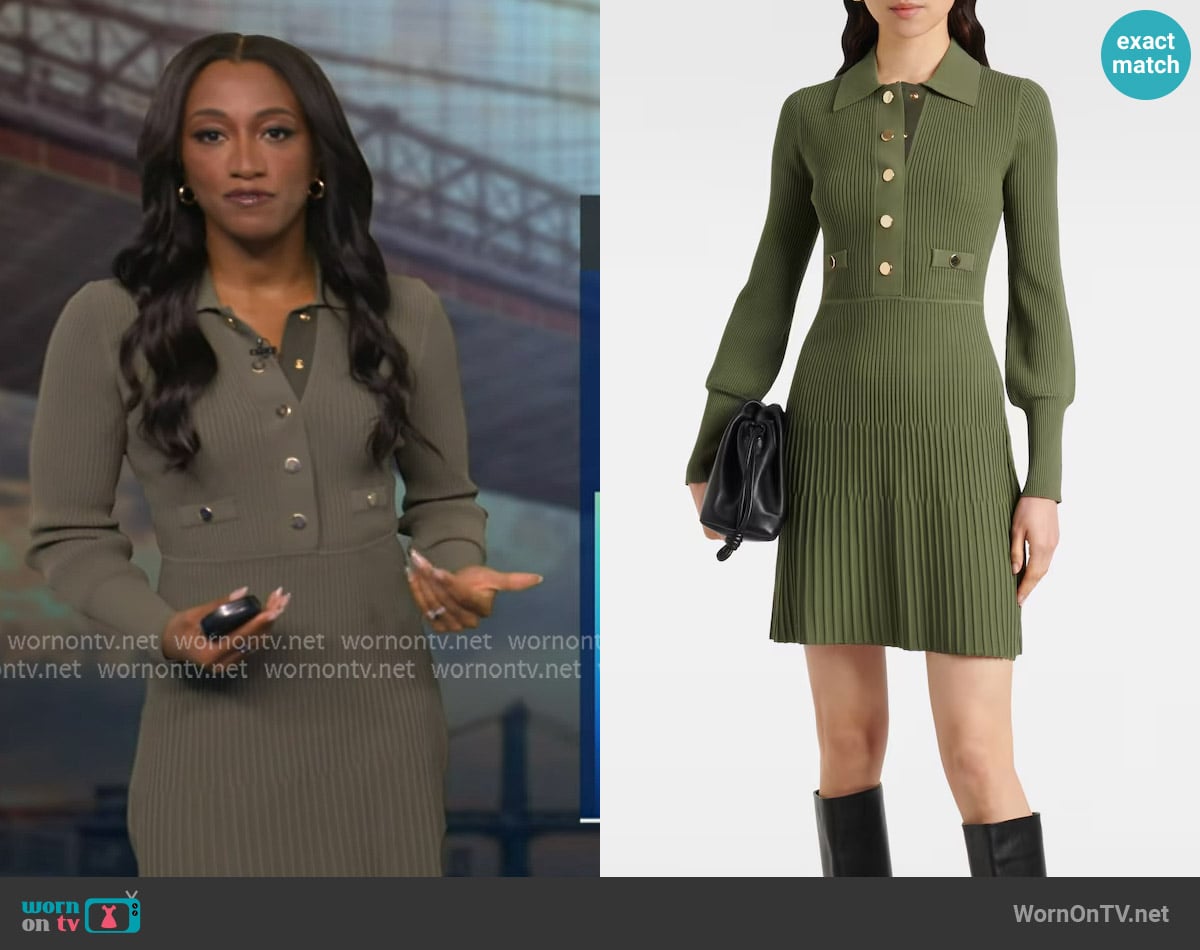Brittany's Veronica Beard dress