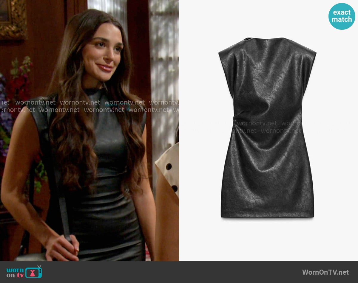 Sydney's Zara dress