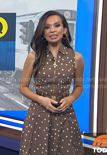 Adelle’s brown polka dot belted dress on Today