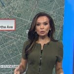 Adelle’s green zip front dress on Today Adelle’s green zip front dress on Today