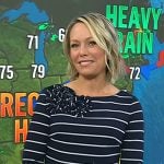 Dylan’s navy striped flower detail dress on Today