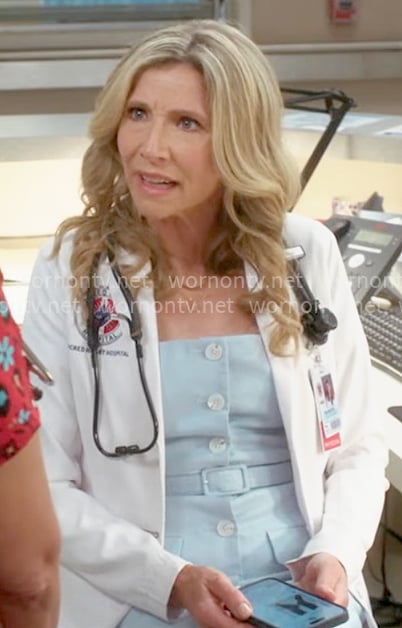 Elliot’s blue button front dress on Scrubs Elliot’s blue button front dress on Scrubs