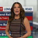 Heather’s striped tweed dress on Good Morning America Heather’s striped tweed dress on Good Morning America