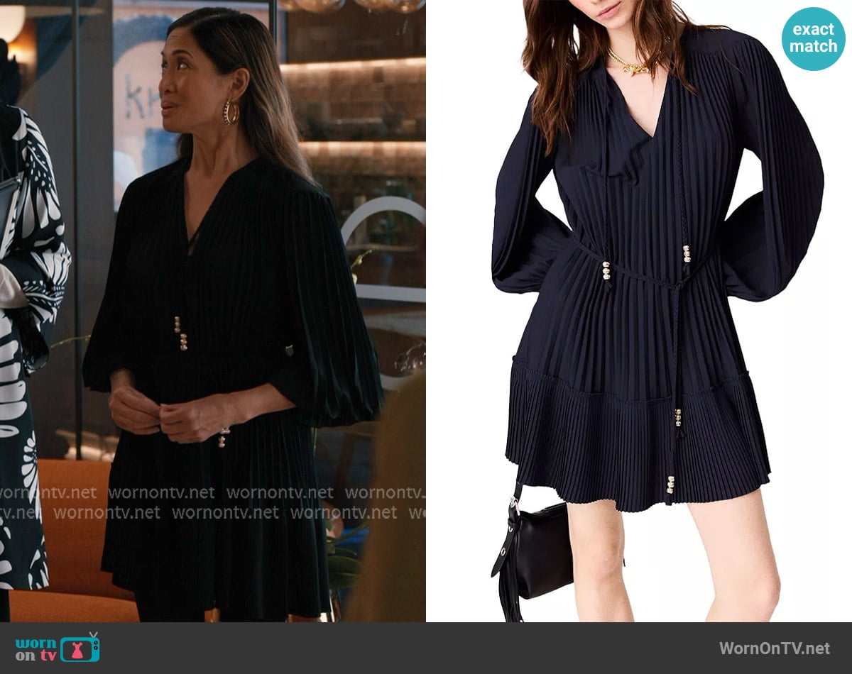 WornOnTV: Tracey’s navy pleated front mini dress on Elsbeth | Clothes ...