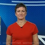 Stephanie's red v-neck short sleeve sweater on Today Stephanie's red v-neck short sleeve sweater on Today
