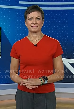 Stephanie's red v-neck short sleeve sweater on Today