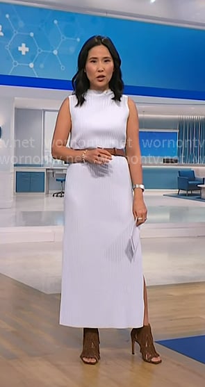 Vicky's blue ribbed sleeveless dress on NBC News Daily
